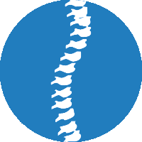 Treatments for Back Pain availabe at Hampton Physical Therapy